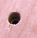 ferrule.webp