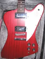 2 minibuckers in Firebird.webp