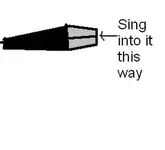microphone question pic.webp