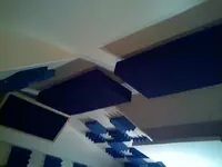 Ceiling traps.webp