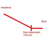 Neck.webp