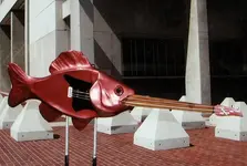 tuna_guitar_fish.webp