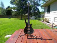 ESP Bass 1.webp