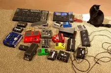 pedals.webp