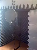 mic.webp