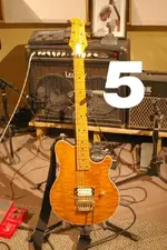 05_goldie.webp
