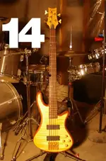 14_schecter.webp