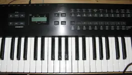 Alesis display 2.webp