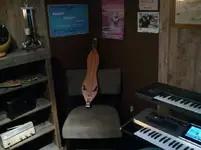 studio1.webp