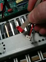New Keybed Tp40 back 002.webp