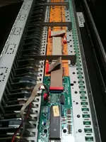New Keybed Tp40 back 003.webp