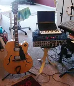 new guitar.webp