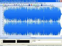 Something For My Good Waveform.webp
