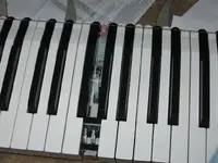 Fatar SL990pro - keybed front view.webp
