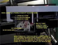 Worn Felt Accelerates-1.webp