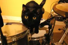 drummer_jess.webp