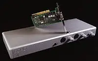 echolayla3g.s.webp