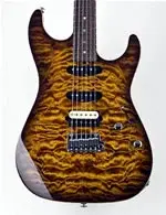 bengal%20burst%20quilt.webp