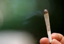 joint_.webp