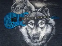 Carvin DC 400.webp