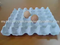 Paper_Egg_Tray_Paper_Egg_Boxes.webp