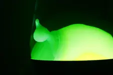 LavaLamp.webp