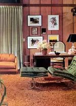 70s wood wall paneling 3.webp
