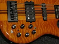 carvin.webp