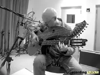 stellar-harpguitar.webp