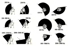 files_dahnielson_com_2008_03_23_cello-radiation.webp