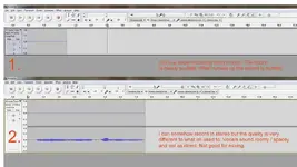 vocal help2.webp vocal help2.webp