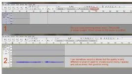vocal help2.webp