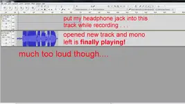 vocal help4.webp