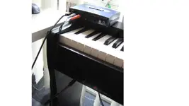 vocal help7.webp