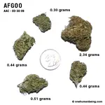 afgoo_03_30_2009_full_1.webp