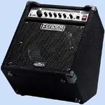 bassman100_t1.webp