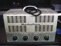 Old tube amp project 001.webp