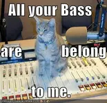 funny-pictures-cat-sound-studio.webp