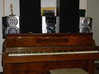 DSCN1146.webp