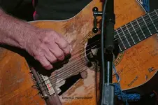 willie.webp