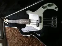 bass2.webp