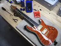 Schecter guitar 002.webp