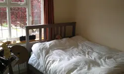 IMAG0112.webp IMAG0112.webp