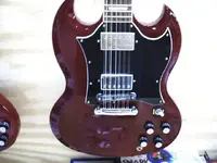 Sg 12 string bridge 001.webp