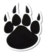 bearpaw.webp