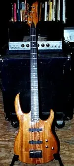 carvin.webp