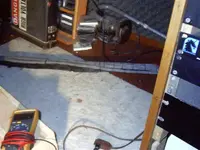snake.webp