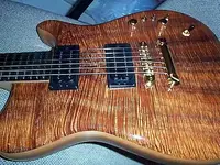 fb1[1].webp