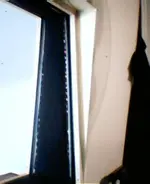 picture 4.webp