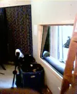 picture 11.webp